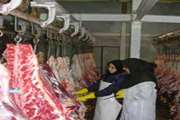 ماکو : نظارت های بهداشتی   بر استحصال 425 تن گوشت قرمز طی 6 ماهه نخست سالجاری 