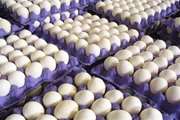  میاندواب :توقیف و ضبط 4 تن تخم مرغ خوراکی توسط اداره دامپزشکی شهرستان 