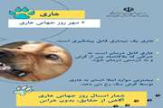 به بهانه روز جهانی هاری؛  با شعار آگاهی از حقایق؛ بدون هراس