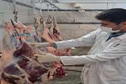 تکاب : نظارت بهداشتی بر استحصال بیش از 47 تن گوشت قرمز توسط شبکه دامپزشکی  شهرستان تکاب طی 5 ماهه سال1401  