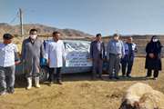 حضور و بازدید مدیر کل دامپزشکی از اجرای رزمایش جهادی دامپزشکی در شهرستان پلدشت 