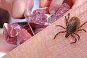  تا کنون  موردی از ابتلاء به بیماری تب کریمه کنگو در استان  آذربایجان غربی گزارش نشده است