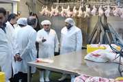 بازدید سرزده ریاست سازمان حهاد کشاورزی و مدیر کل دامپزشکی از کشتارگاه های طیور ارومیه   
