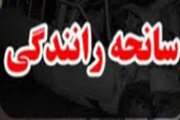  وقوع سانحه خودرویی و مصدوم شدن دو تن از کارکنان شبکه دامپزشکی شهرستان تکاب در حین انجام ماموریت کنترل و پیشگیری از بیماری های دامی 