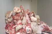 میاندوآب : کشف و معدوم سازی  400کیلوگرم گوشت حاصل از کشتار غیر مجاز 