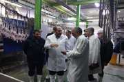 بازدید سرزده مدیر کل دامپزشکی از کشتارگاه طیور غرب  