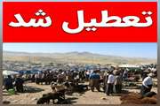 میادین صنعتی و سنتی عرضه دام پیرانشهر تا اطلاع ثانوی تعطیل شد