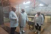 بازدید سرزده از کشتارگاه پروتئین گستر بنیاد ارومیه