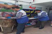 ضبط و معدوم سازی ۱۶ کیلوگرم گوشت قرمز غیر بهداشتی و فاسد در شهرستان چالدران