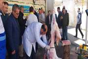 حضور خلیل زاده مدیرکل دامپزشکی استان آذربایجان غربی و بازرسان گوشت شبکه دامپزشکی ارومیه در محل قربانگاه کمیته امداد امام خمینی (ره ) 