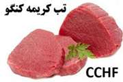 هشدار اداره کل دامپزشکی استان آذربایجان غربی نسبت به احتمال شیوع بیماری تب کریمه کنگو 
