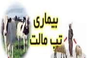 پیام بهداشتی