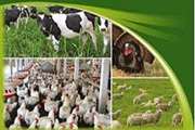  کنترل های بهداشتی بر صادرات دام زنده و  فرآورده های دامی از آذربایجان غربی به خارج ازكشور 