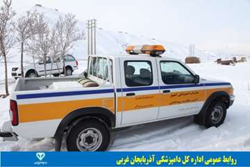 فعالیتهای دامپزشکی در زیر بارندگی و برف