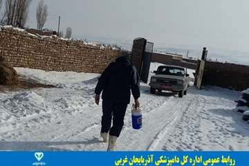 فعالیتهای دامپزشکی در زیر بارندگی و برف