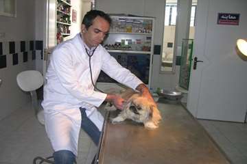 درمانگاه دام کوچک