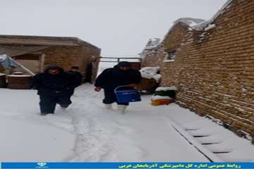 فعالیتهای دامپزشکی در زیر بارندگی و برف
