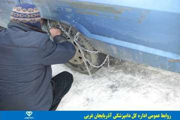 فعالیتهای دامپزشکی در زیر بارندگی و برف