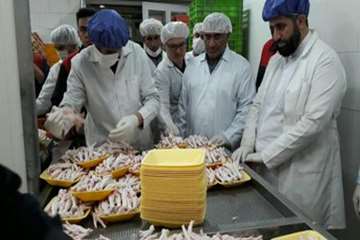 گزارش تصویری بازدید  دکتر کامیار داهیم مدیر کل دامپزشکی  استان و حجت السلام حاج آقا ولی زاده مسئول د