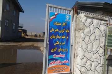 گزارش تصویری از مراسم شروع مایه کوبی همزمان بیماری تب برفکی و بروسلوز گاوی در هفتمین روز از ایام مبا