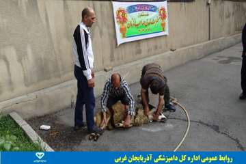 مراسم جشن نیمه شعبان