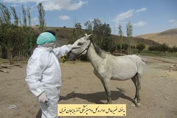 مانور پدافند غیر عامل اداره کل دامپزشکی آذربایجان غربی 