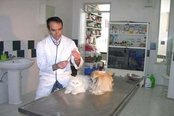 درمانگاه دام کوچک