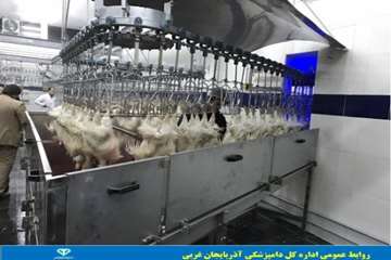 افتتاح مدرن ترین کشتارگاه صنعتی طیور