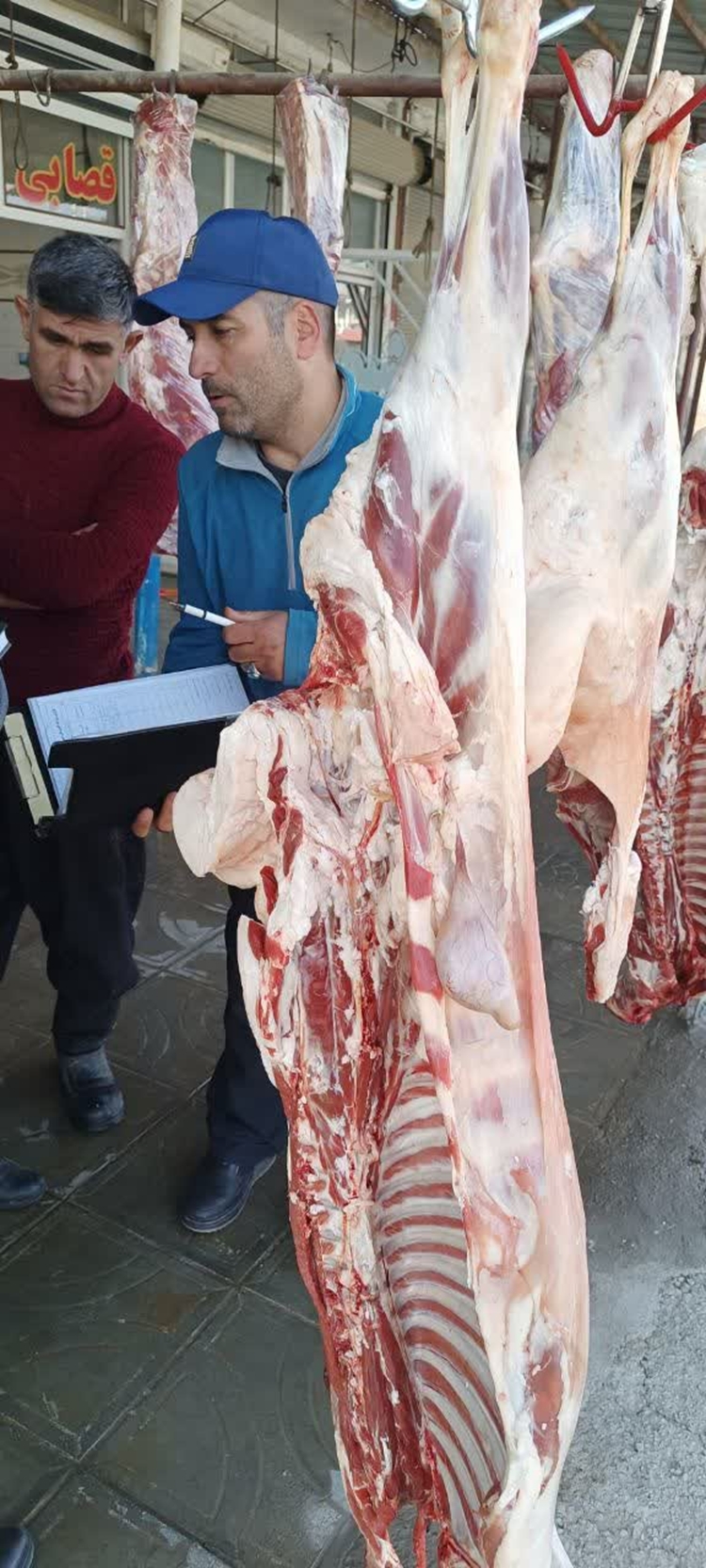 بازدید مشترک دامپزشکی و فرمانداری ارومیه از قصابی‌های حاشیه شهر