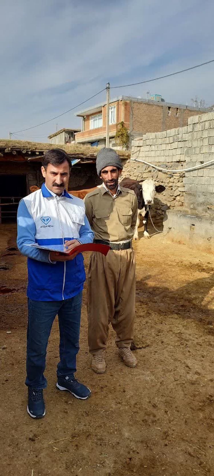 بازدید و نظارت حین عملیات واکسیناسیون دام سبک و سنگین 