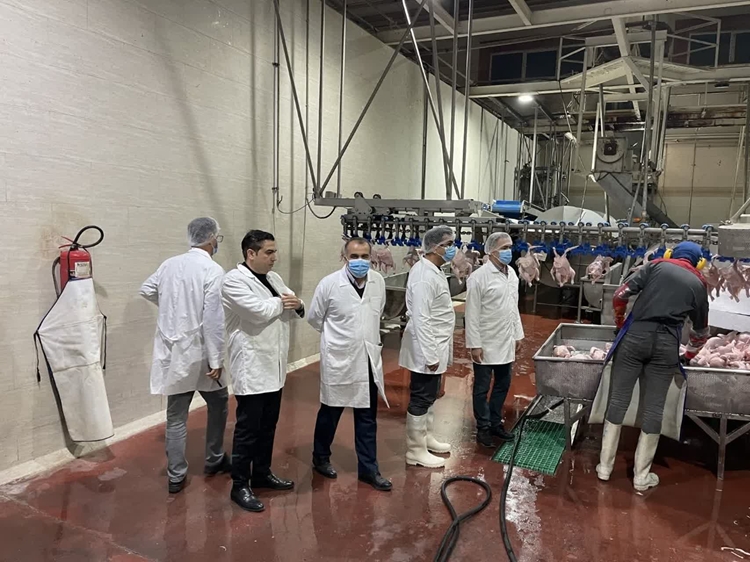 بازدید شبانه و سرزده از کشتارگاه صنعتی مرغ زرین‌پر میلاد پیرانشهر