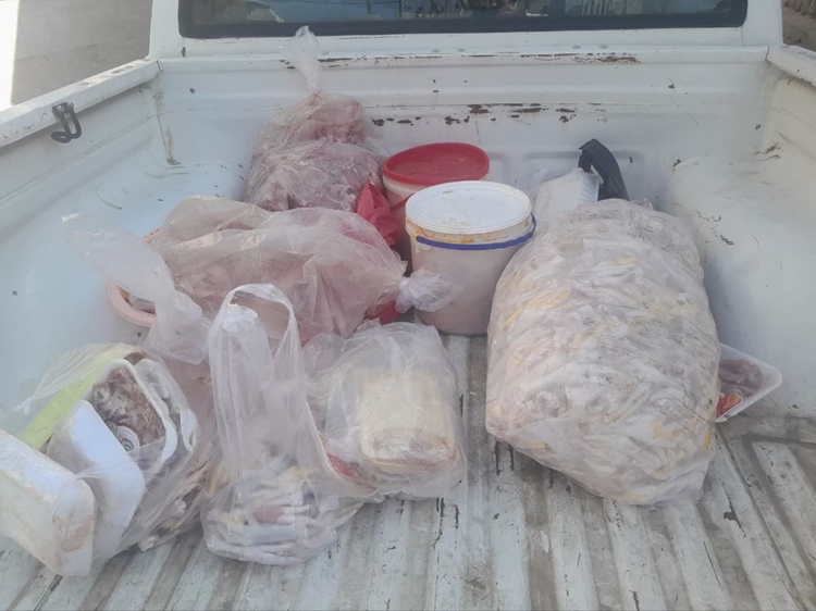 تشدید نظارت بر مواد پروتئینی هم زمان با فرا رسیدن شب یلدا 