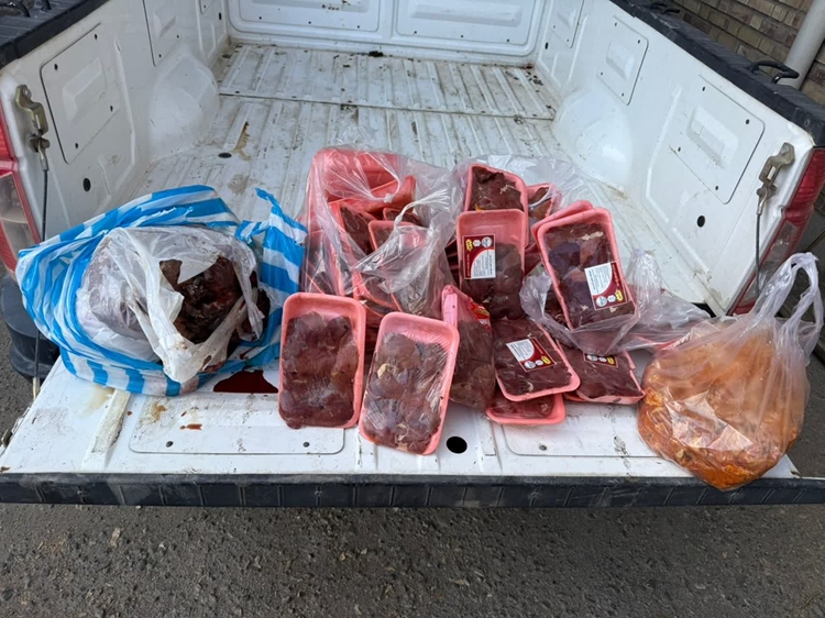 ضبط و معدوم سازی ۷۲ کیلوگرم فرآورده خام دامی فاقد شرایط ارگانولپتیک