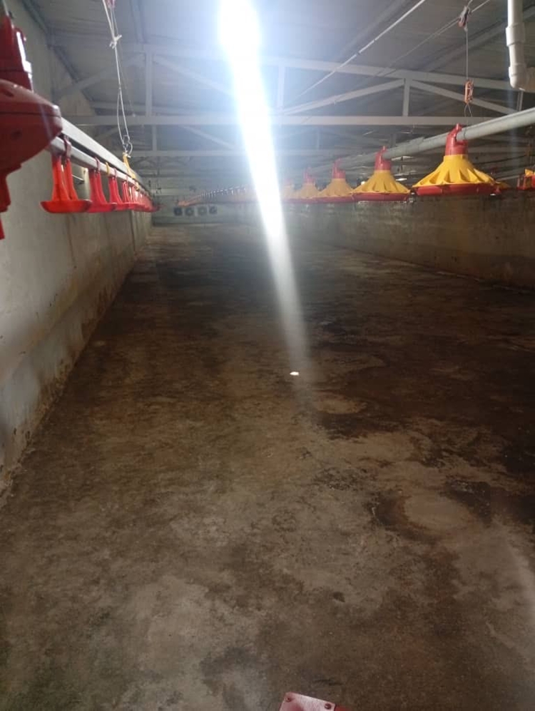 شناسایی واحد مرغداری غیر مجاز در حاشیه روستای جلدیان از توابع شهرستان پیرانشهر