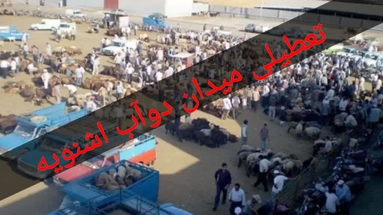 تعطیلی میدان دام  سه شنبه بازار  اشنویه