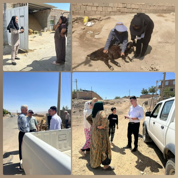 تداوم نظارت‌ها و پایش فعال بیماری تب‌برفکی