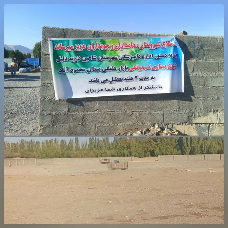 تعطیلی میادین دام شهرستان به دلیل احتمال رخداد تب برفکی همچنان دوام دارد 