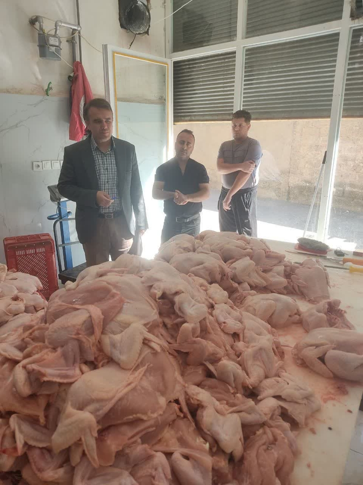 شناسایی و برخورد با یک واحد قطعه بندی غیر مجاز گوشت مرغ در نقده
