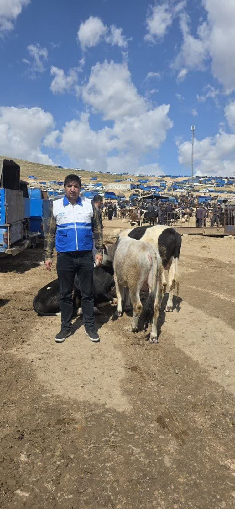 بازدید میدانی از میدان فروش دام زنده بوکان 