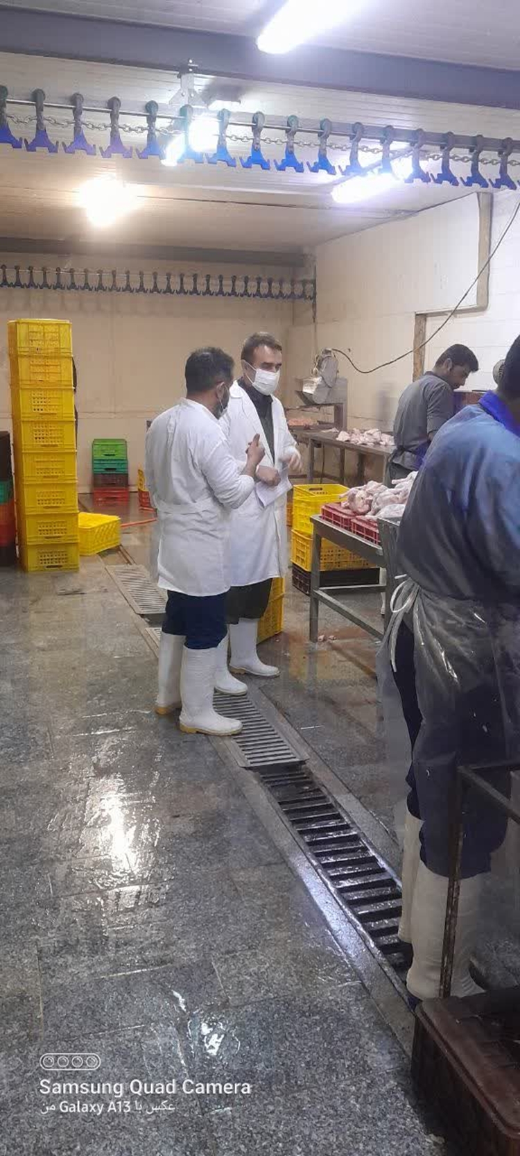 استمرار بازدید کارشناسان شبکه شهرستان نقده از کشتارگاه طیور 