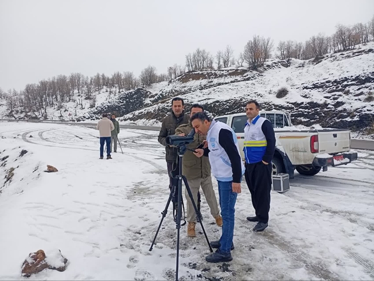 رصد و پایش بیماری آنفلوانزای فوق حاد پرندگان در شهرستان سردشت