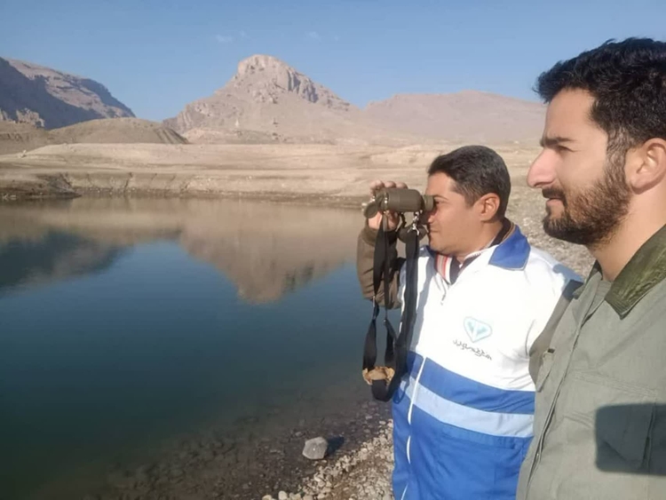 رصد و پایش بیماری آنفلوانزای فوق حاد پرندگان در شهرستان چالدران