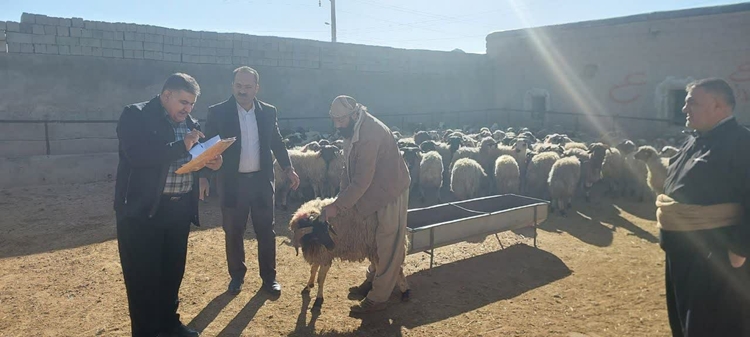 بازدید مشترک از واحدهای دامی و عشایر شهرستان بوکان